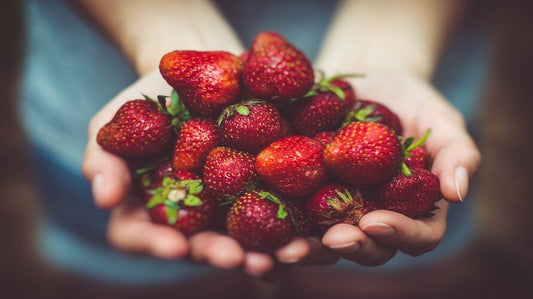Fisetin - Health Benefits, Dosage, Side Effects
