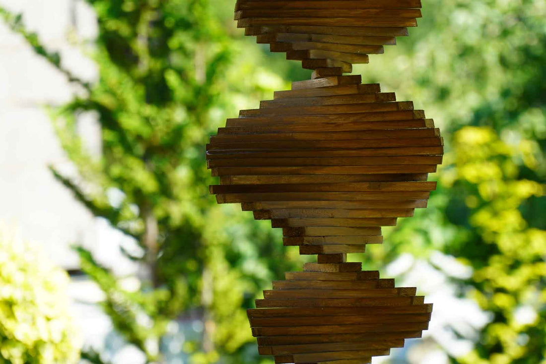 Photo by Karolina Kołodziejczak - Which genes are connected to Longevity?