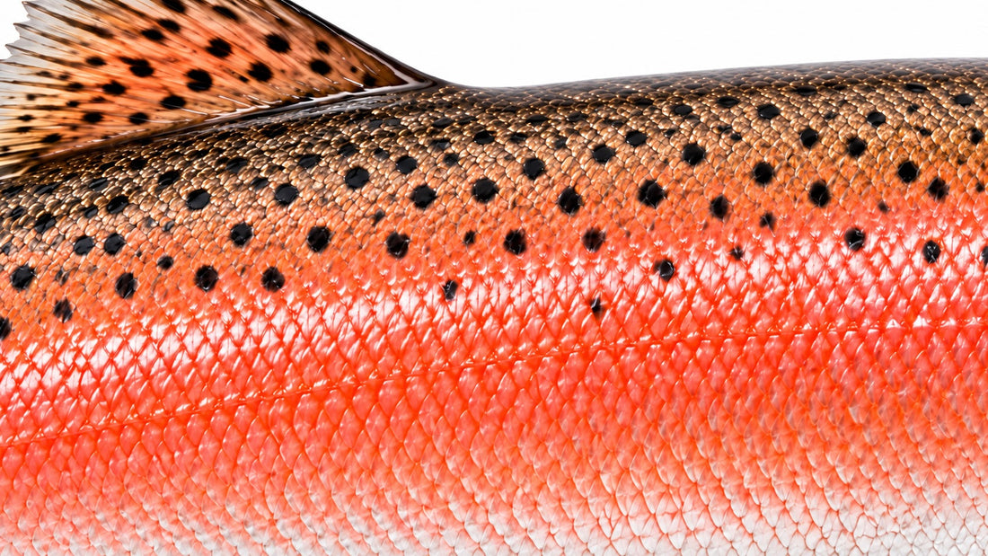 What is Astaxanthin?