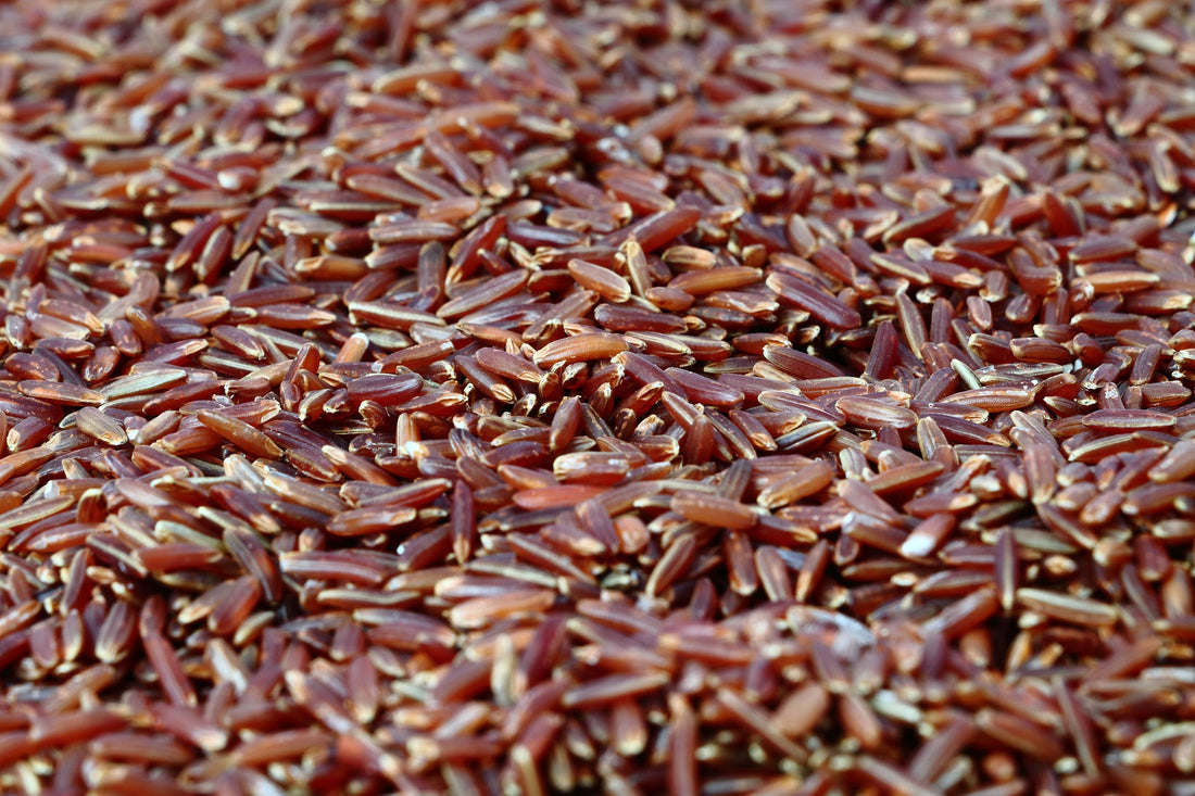 Red Rice Yeast - Production, Health Benefits and Safety