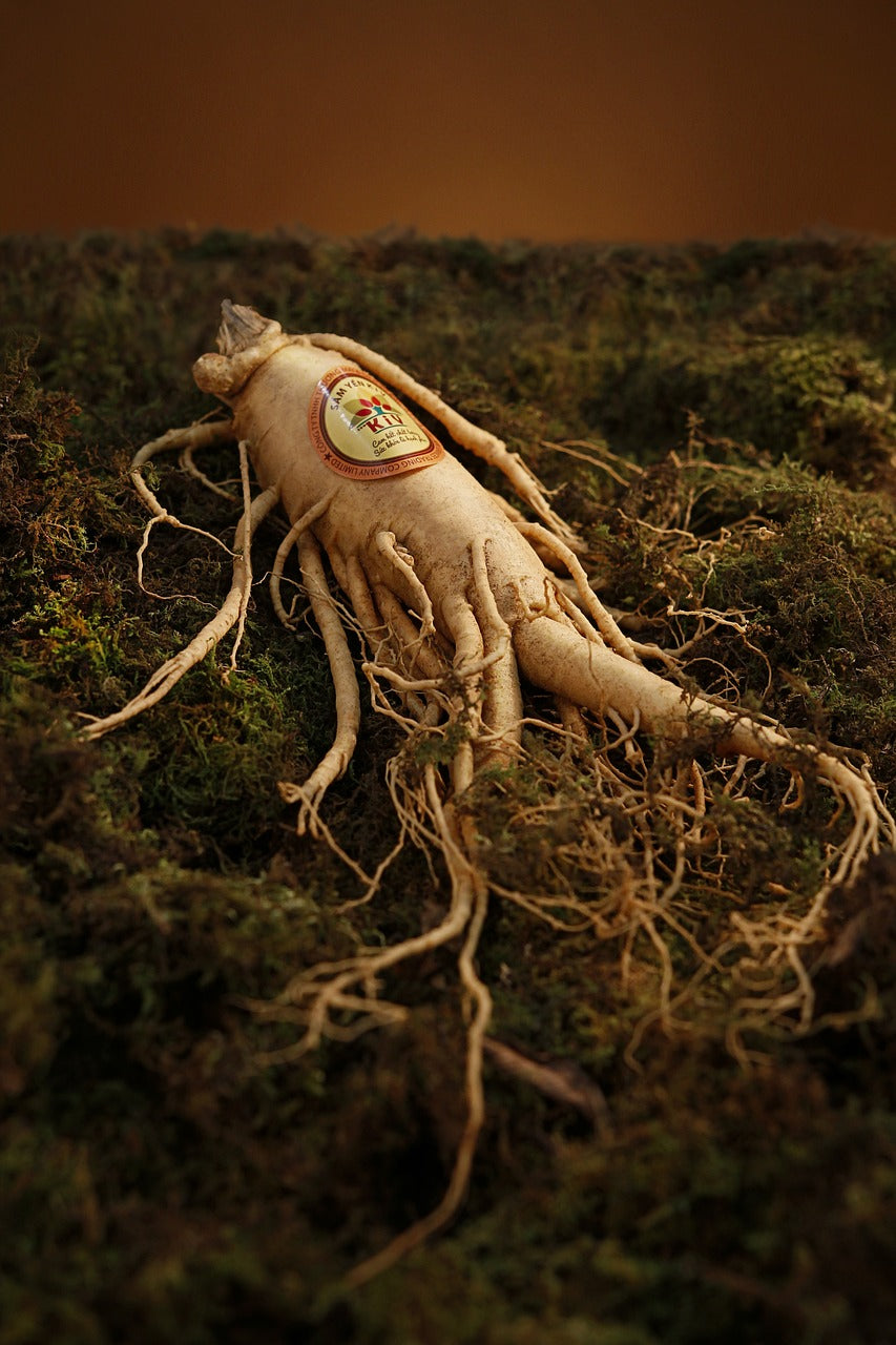 How Much Ginseng Should You Take?