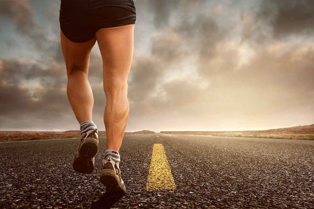 Creatine and Muscle Strength in Stroke Recovery