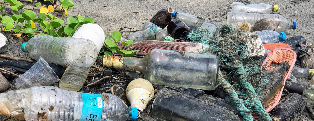 The Great Debate: Which is the Greenest of Them All - Plastic, Glass, or Paper?