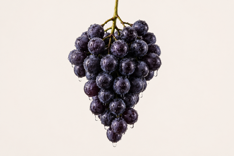 Does Resveratrol Live Up to the Hype?