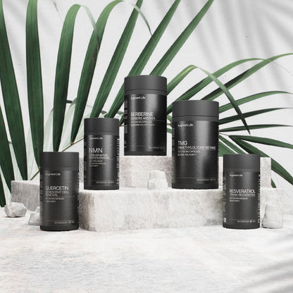 Biohacker Bundle - seks måneders forsyning (500 mg/dag)