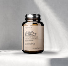 Chaga Mushroom Extract