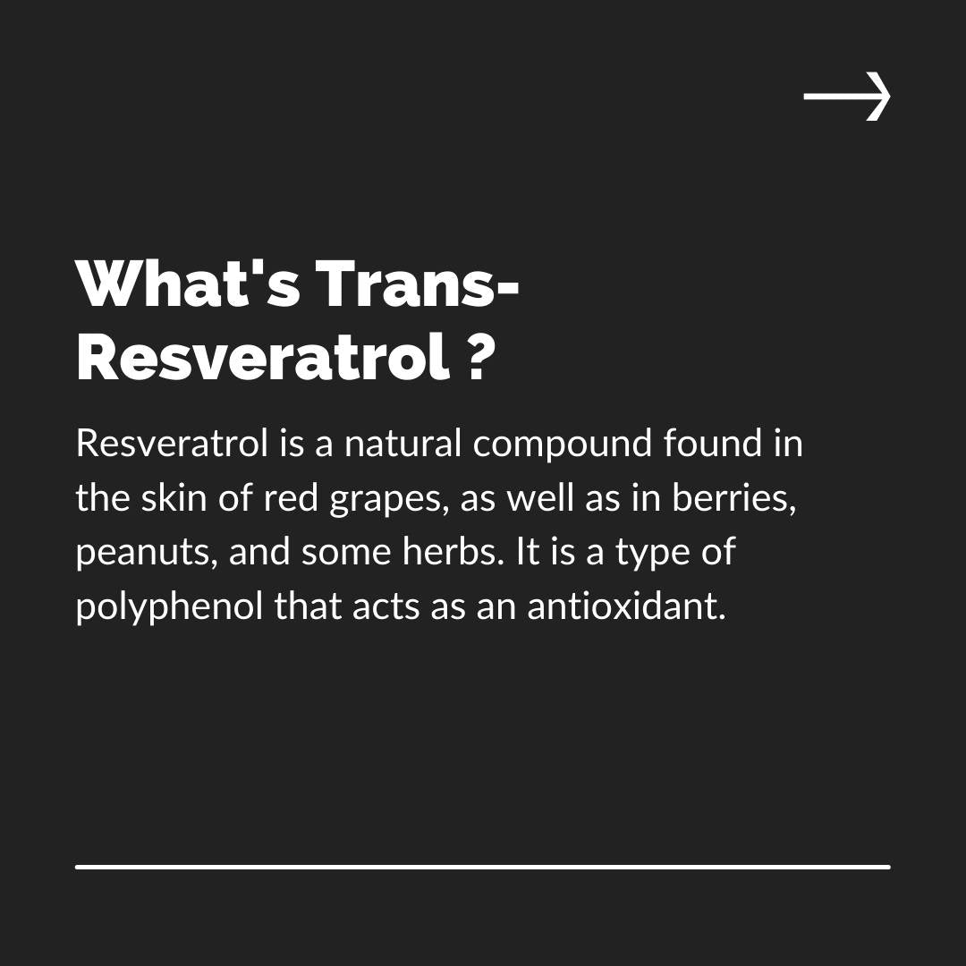 Polvo de trans-resveratrol - Pureza del 98%