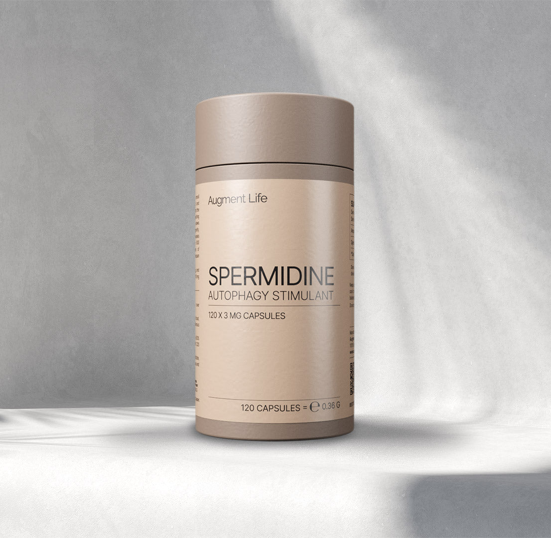 Spermidin – 3 mg Kapseln