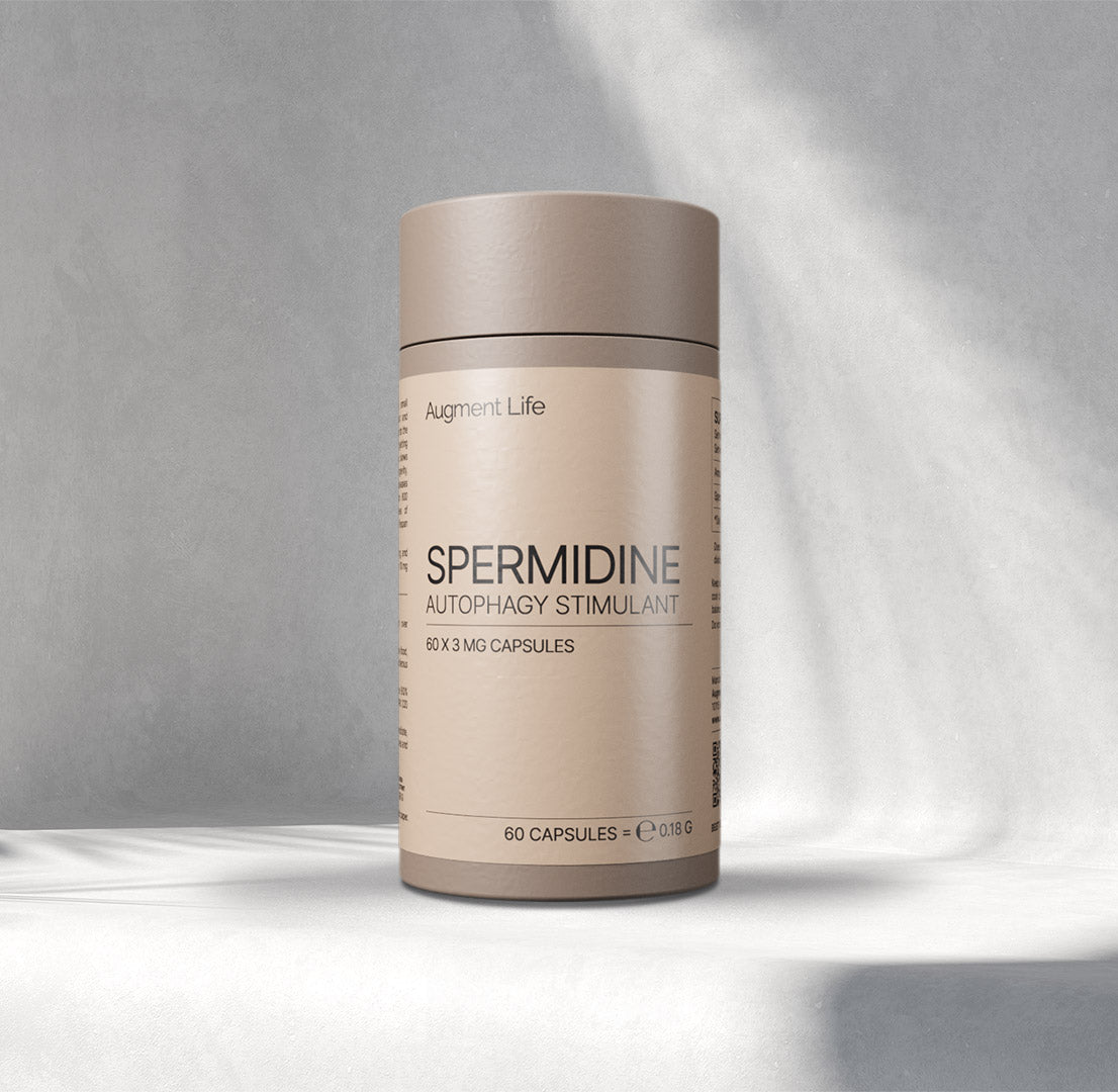 Spermidin – 3 mg Kapseln