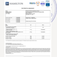 Nicotinamide Mononucleotide - 250 mg - 99% Puhdas - NMN